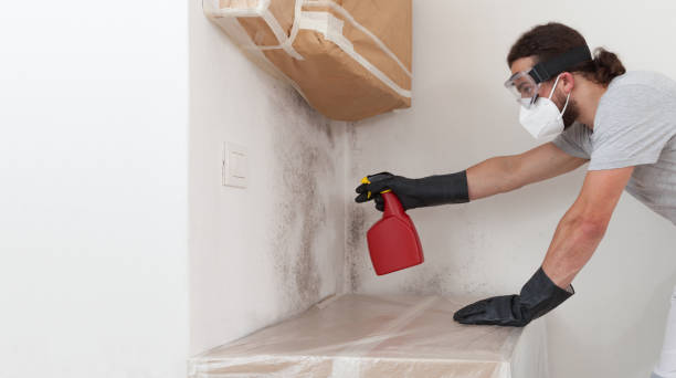 Professional Crawl Space Mold Removal technician working in Millburn, NJ