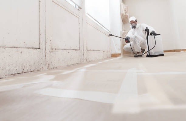 24/7 Emergency Crawl Space Mold Removal experts in Millburn, NJ